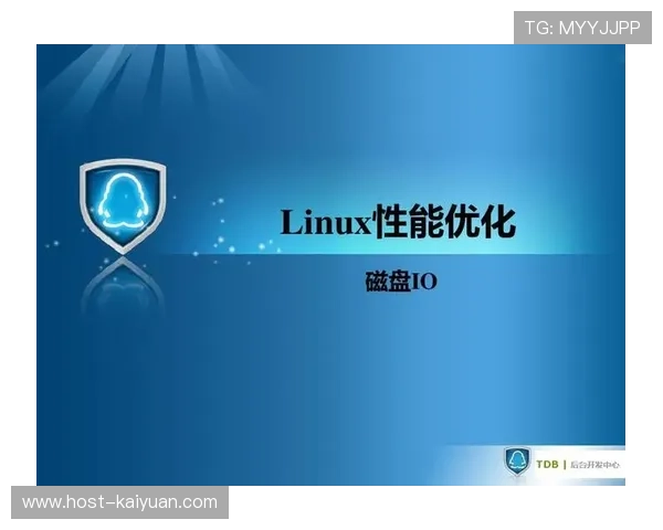 Linux系统磁盘IO过高问题分析与优化实用解决方案 Linux系统磁盘IO过高问题分析与优化实用解决方案